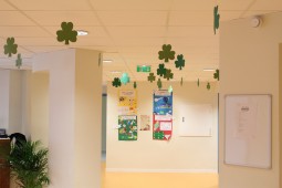 St Patrick’s day !