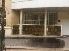 Mur végétal à l’école primaire bilingue